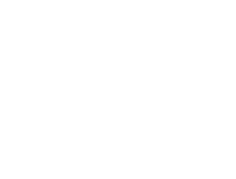DIPA Group